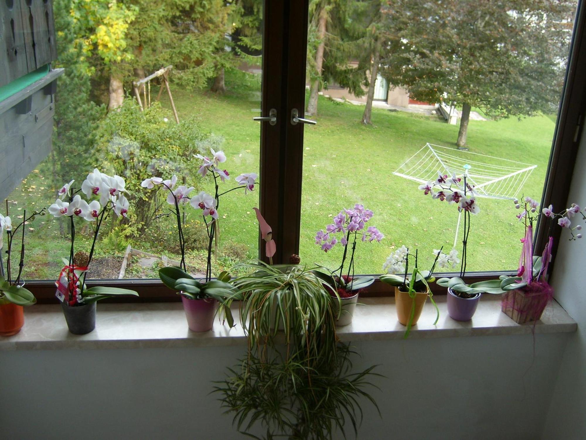 Appartements Birkenhof Берванг Екстер'єр фото